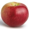 Stayman Winesap apple