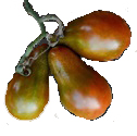 Chocolate pear