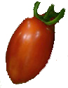 Paste tomato