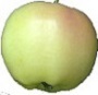 Pristine apple