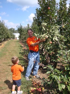 Picking fruit