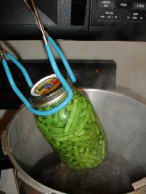 How to Can green beans