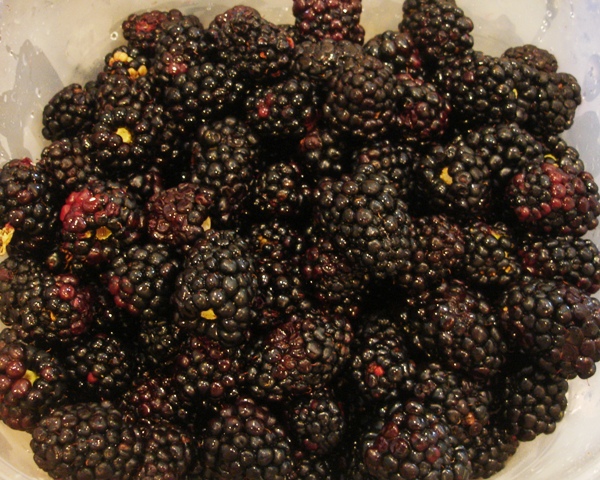 Blackberries