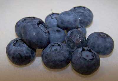 http://www.pickyourown.org/blueberry/blueberries3.jpg