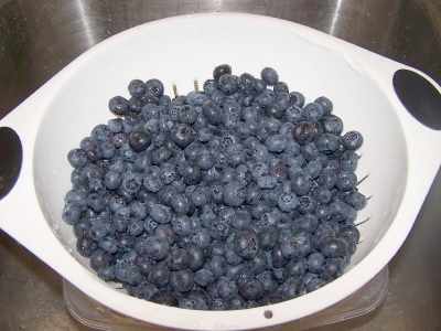 ((((ملف شامل لطرق الاطعمة بالصور)))) blueberries_wash.jpg