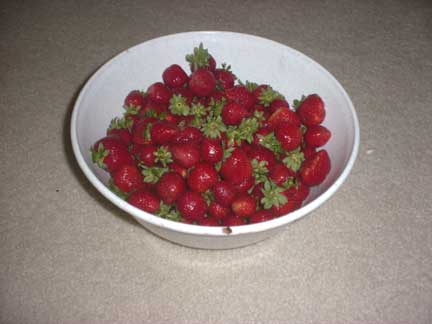 تخزين الخضار والفواكة بالصور strawberriesw.jpg