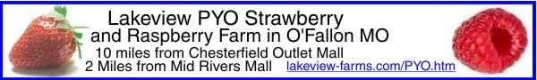 Lakeview Farms Missouri Pick your own strawberries and Raspberries