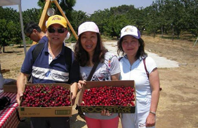 Mi Ranchitos Cherries -