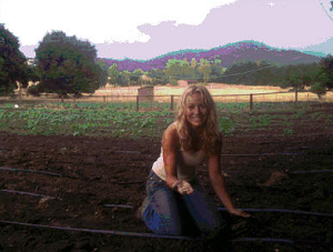 Julian Mining Company - apples, corn (sweet), flowers, pumpkins, raspberries (red), strawberries