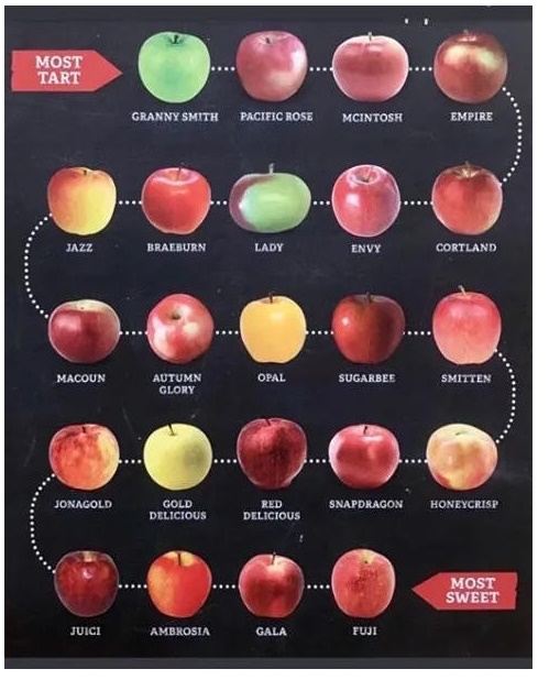 Apple varieties, in order of sweetnesxs or tartness