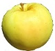 Blondee apple