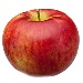 cortland_apple