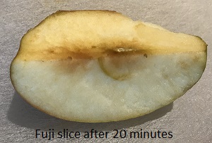 Fuji - 20 minutes after being cut