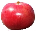 Vista Belle apple