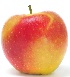 ambrosia apple