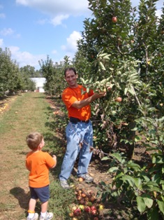 Best varietioes odf apples to grow in your yard or garden
