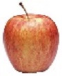 Gala apple