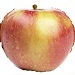 Mollies_delicious apple