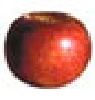 Paulared apple