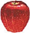 red_delicious_apple