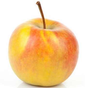 American Apple Varieties and Characteristics - Alphabetical Listing