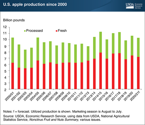 US apple production graph