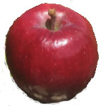 William's Pride apple