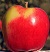 ambrosia apple