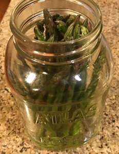 asparagus in jar