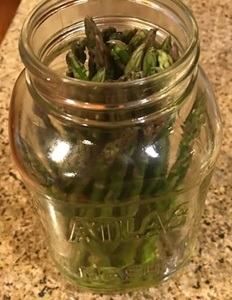 Asparagus in jar