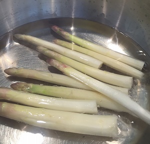 Eckert's Spargel- German White Asparagus