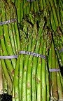 Asparagus