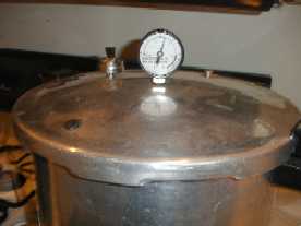 Pressure canner with gauge on stove