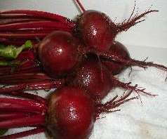 Beets