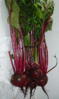 Beets