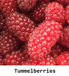 Tummelberries