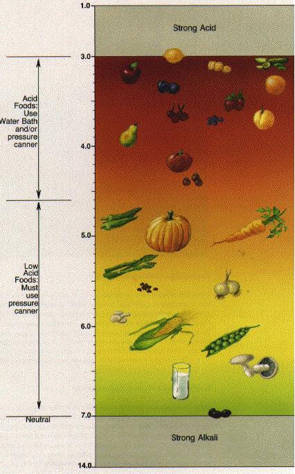 Acidity of foods - pH