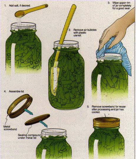 How to Can green beans