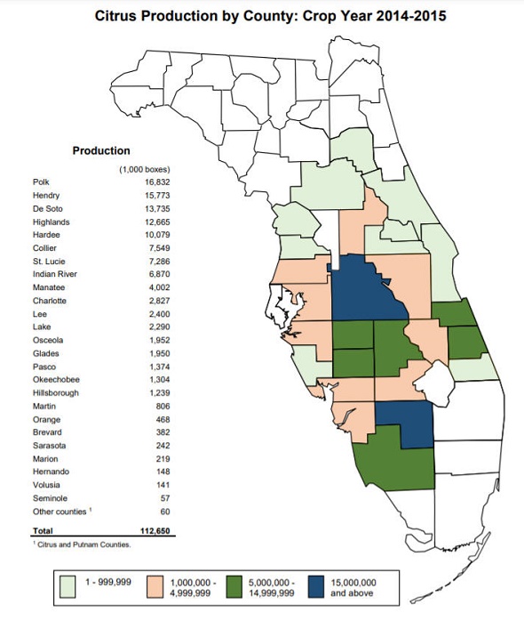 Florida Citrus Fruits U-Pick Farms - 2022 