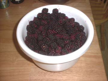 blackberries, just pick from a pick your own farm