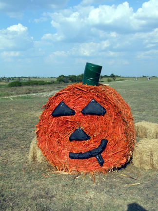 Hay bale pumpkins