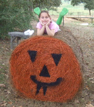 Hay bale pumpkins