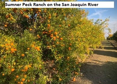 Sumner Peck Ranch on the San Joaquin River Parkway