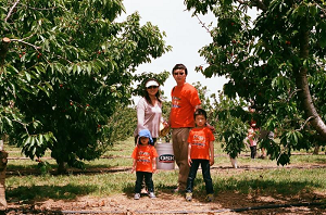 Pomeroy Farms - Bing, White Rainier & Brooks Cherries, Nectarines, Peaches, Apricots 