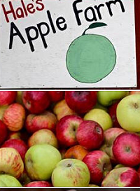 Hale's Apple Farm 