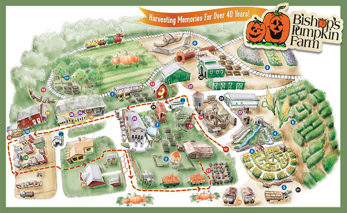 Bishop's Pumpkin Farm - Apples, pumpkins, walnuts, Corn maze.