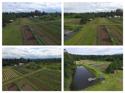 Nanoose Edibles Farm