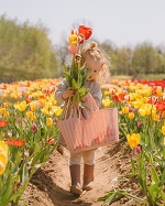 TASC Tulip Pick Farm