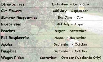 CT harvest schedule at Scott's Yankee Farm