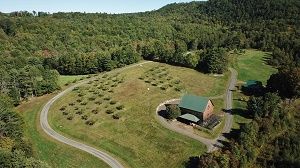 Solid Earth apple orchard